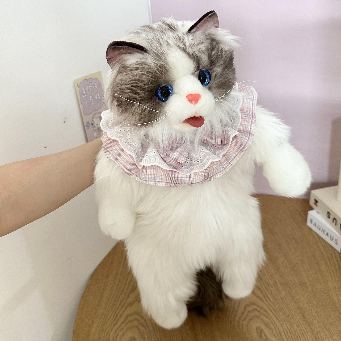 Magic Ragdoll Cat Bag